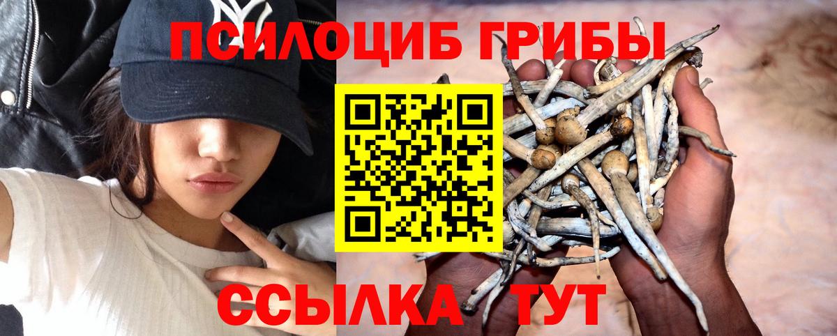 Псилоцибиновые грибы Cubensis  Псилоцибиновые грибы ЛСД  Вход с VPN  Краснознаменск 